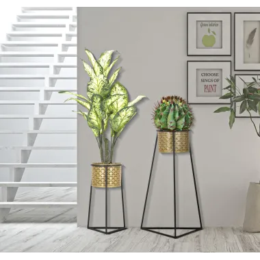 P/VAZY PARA Glax 43X36X70-27X23X45 cm